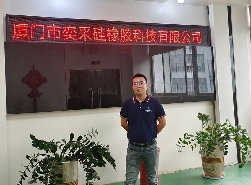 China Xiamen E-purchasing silicone rubber technology Co.,Ltd Perfil da companhia